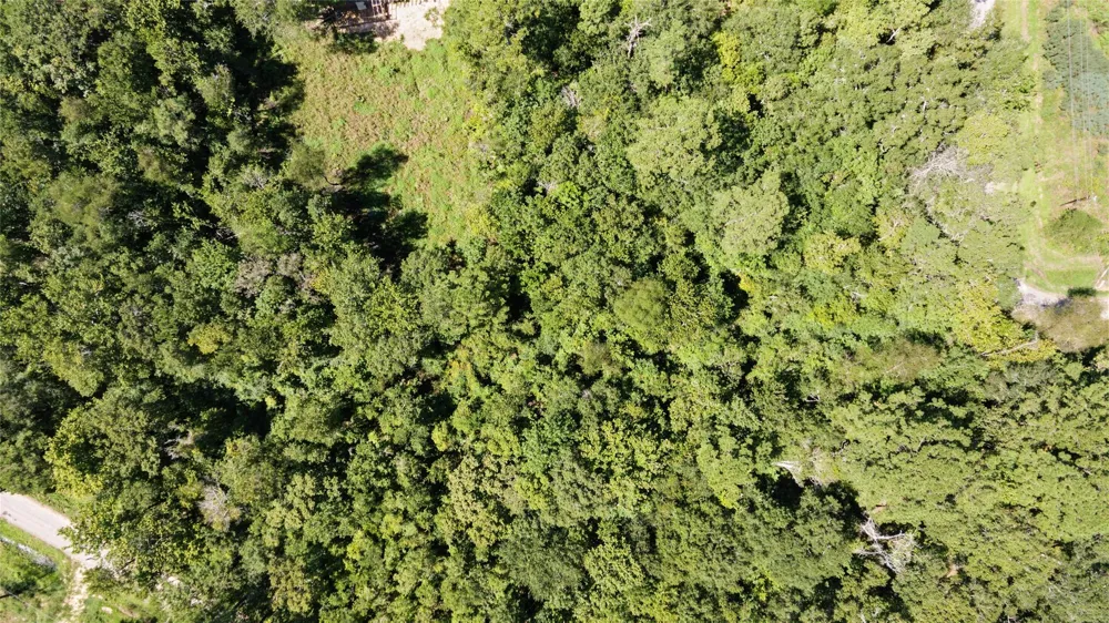 Barfield Drive Shepherd, TX 77371