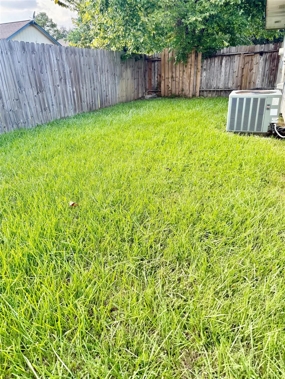 23331 Pebworth Place Spring, TX 77373