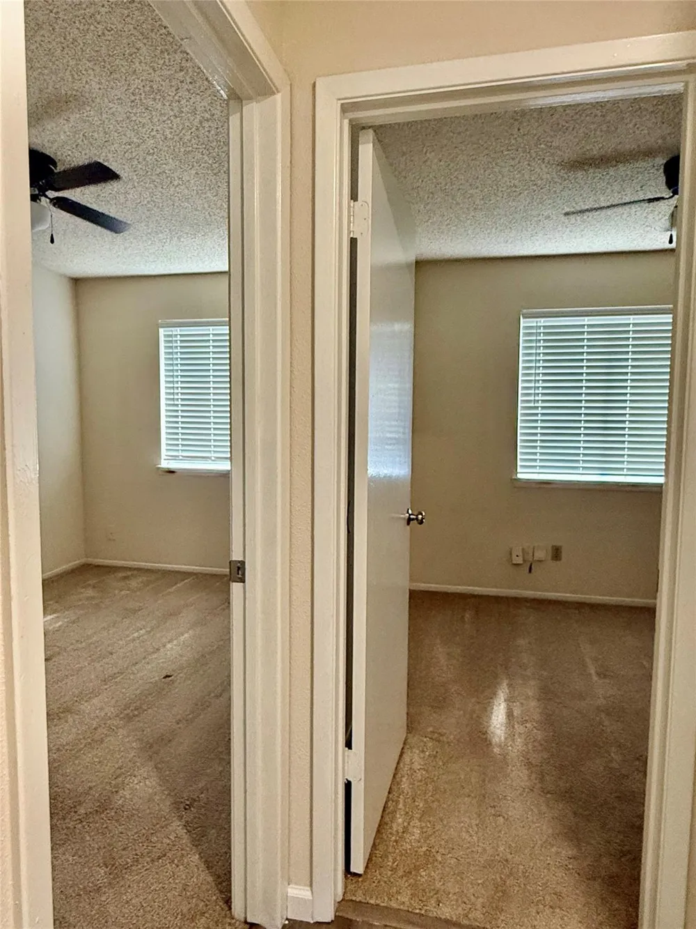 23331 Pebworth Place Spring, TX 77373
