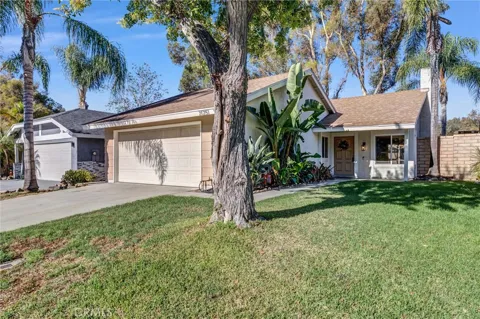 21251 Forest Meadow
