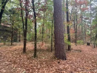 1042 Winding Trail Holly Lake Ranch, TX 75765