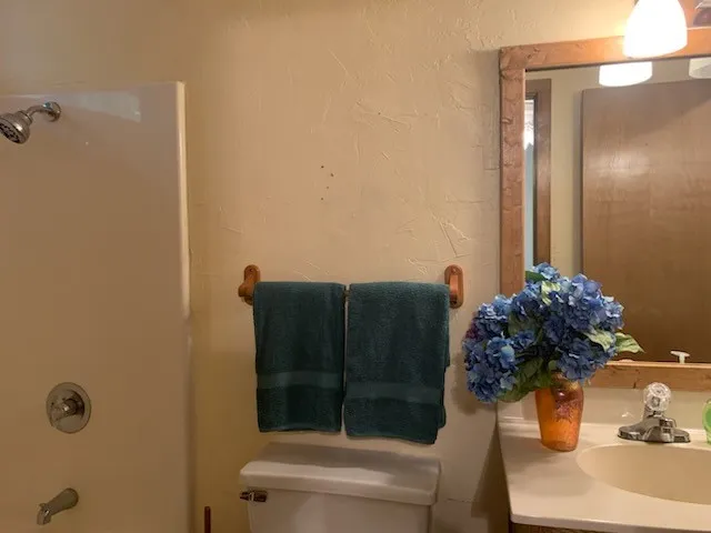 1042 Winding Trail Holly Lake Ranch, TX 75765
