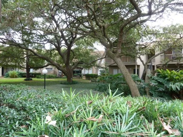 2100 Tanglewilde Street #261 Houston, TX 77063