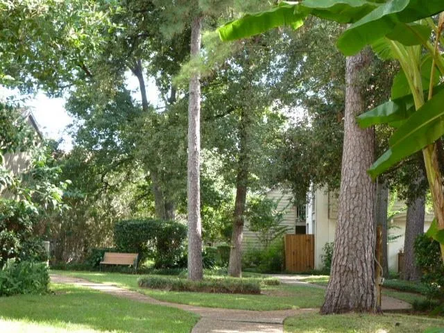 2100 Tanglewilde Street #261 Houston, TX 77063