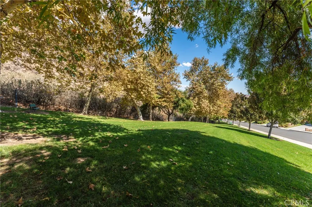 29268 Sandpiper Lake Elsinore, CA 92530