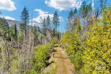 12061 Gifford Springs Road