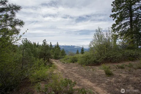 0 Forest Service 6601-550 Rd #C