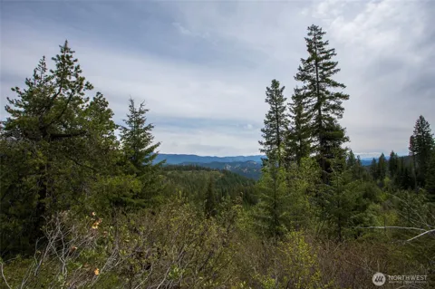 0 Forest Service 6601-550 Rd #D