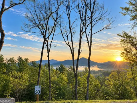 50 Mountain Laurel RDG