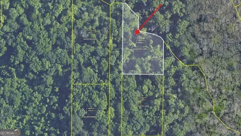 0 Freeman DR