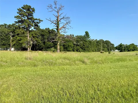 Hot Springs Drive