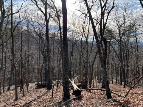 4528 Sassafras Mountain Trail