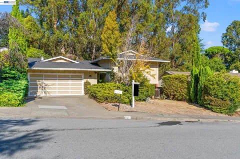 1350 Murchison Dr
