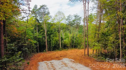 3542 Vilas Drive #3