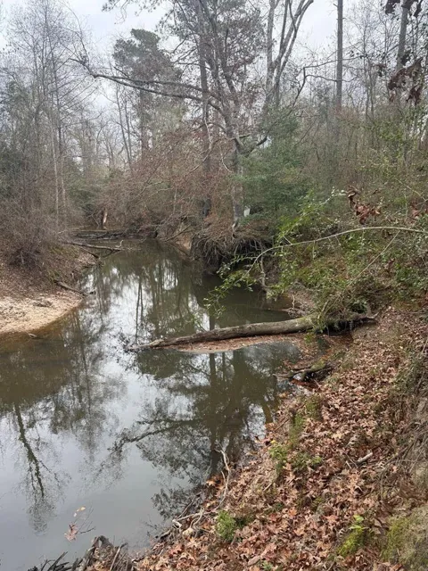 371 County Road 4240