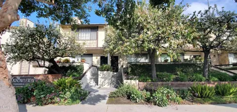 335 Wallis Street