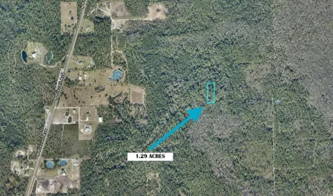 LOT 23