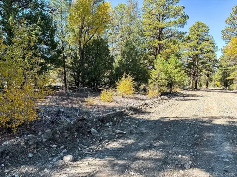 54 & 56 Big Bear Road