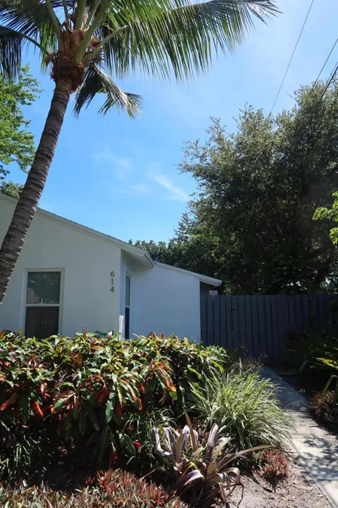 614 Palm Street #3