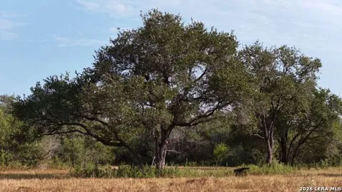 251 Old Goliad