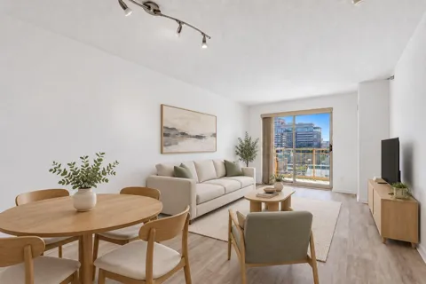 401 S 1st Street #1103
