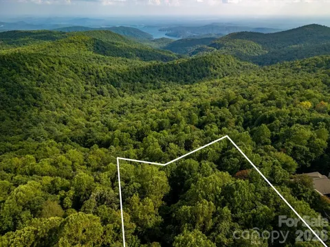 Lot 51 Waddle Branch Road #51