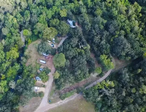 17398 County Road 278