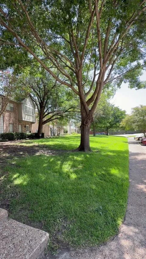 625 Trailwood Court