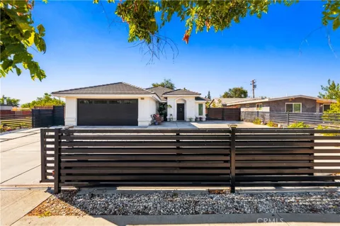 16237 Smoke Tree