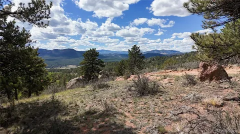 95 Navajo Trail