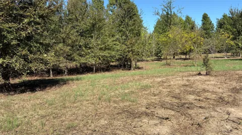 920 County Road 1226