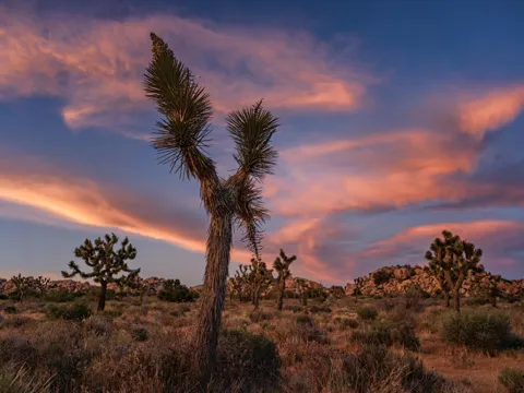 Gods Way Love Road