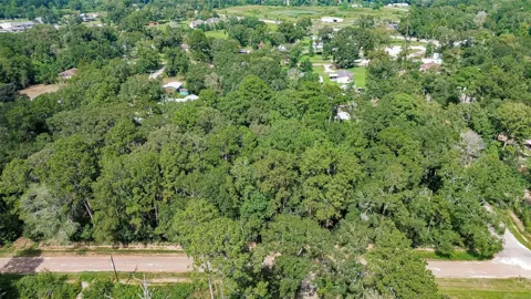 14557 Short Lake