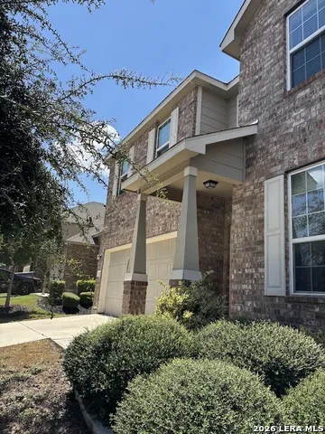 1431 Polydora