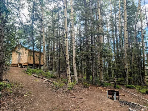 8.5 Acres Phillips Road