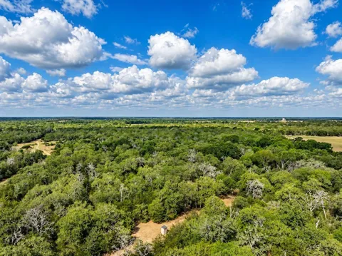 9098 County Road 132