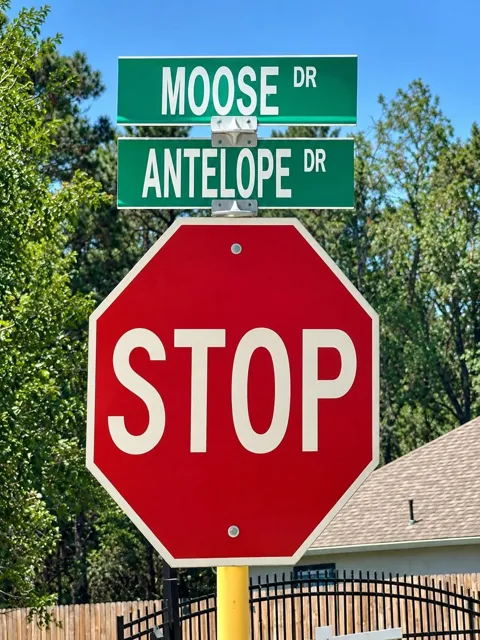 638 Moose Drive