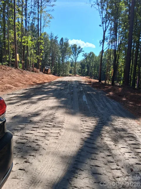 66 Vein Mountain Road #9