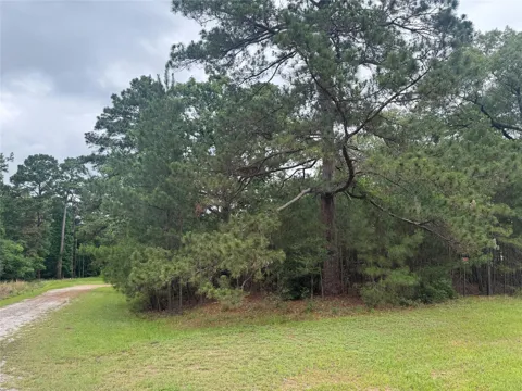 Persimmon Cir