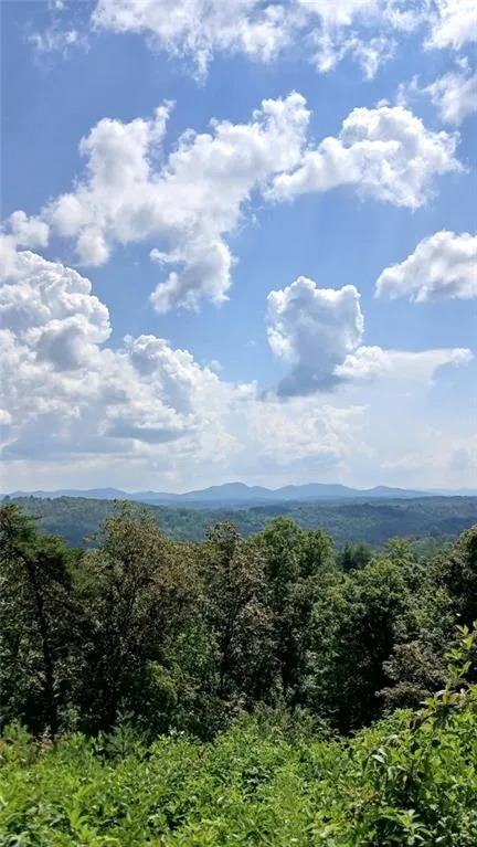 Lot 23 Mountain Laurel Ridge