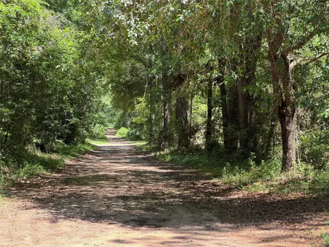 Holly Grove Road