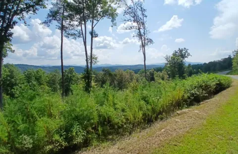 Lot 23 Mountain Laurel Ridge