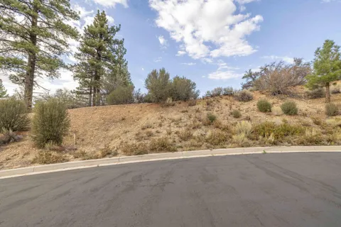 509 Woodbridge Drive