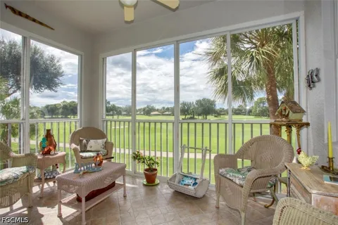 Washingtonia Palm Way #3323