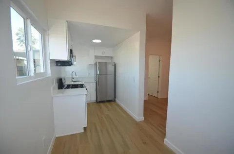 625 Palm #5