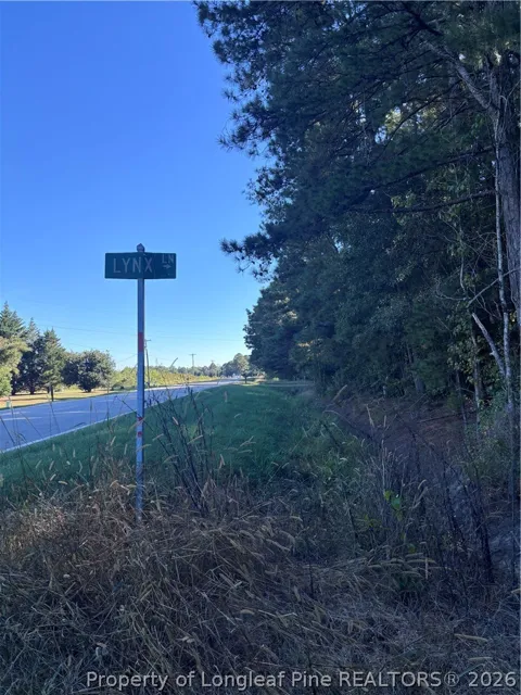 Lynx Lane