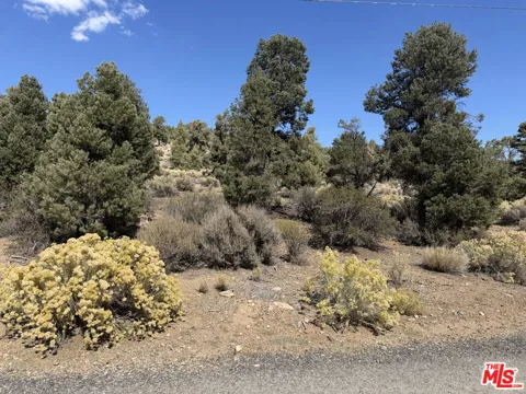 Falling Springs Road