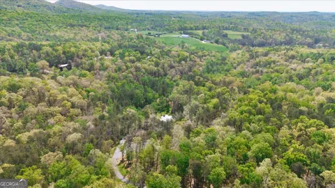545 Cowart Mountain RD