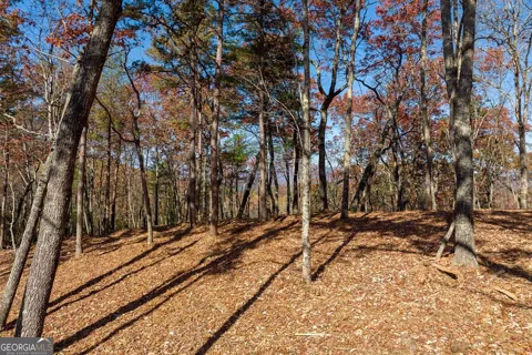 LOT 41 Preserve TRL