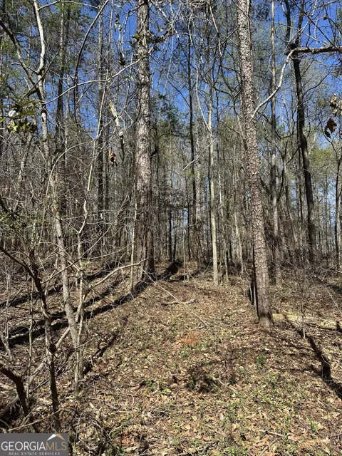 0 Poplar Mountain LN